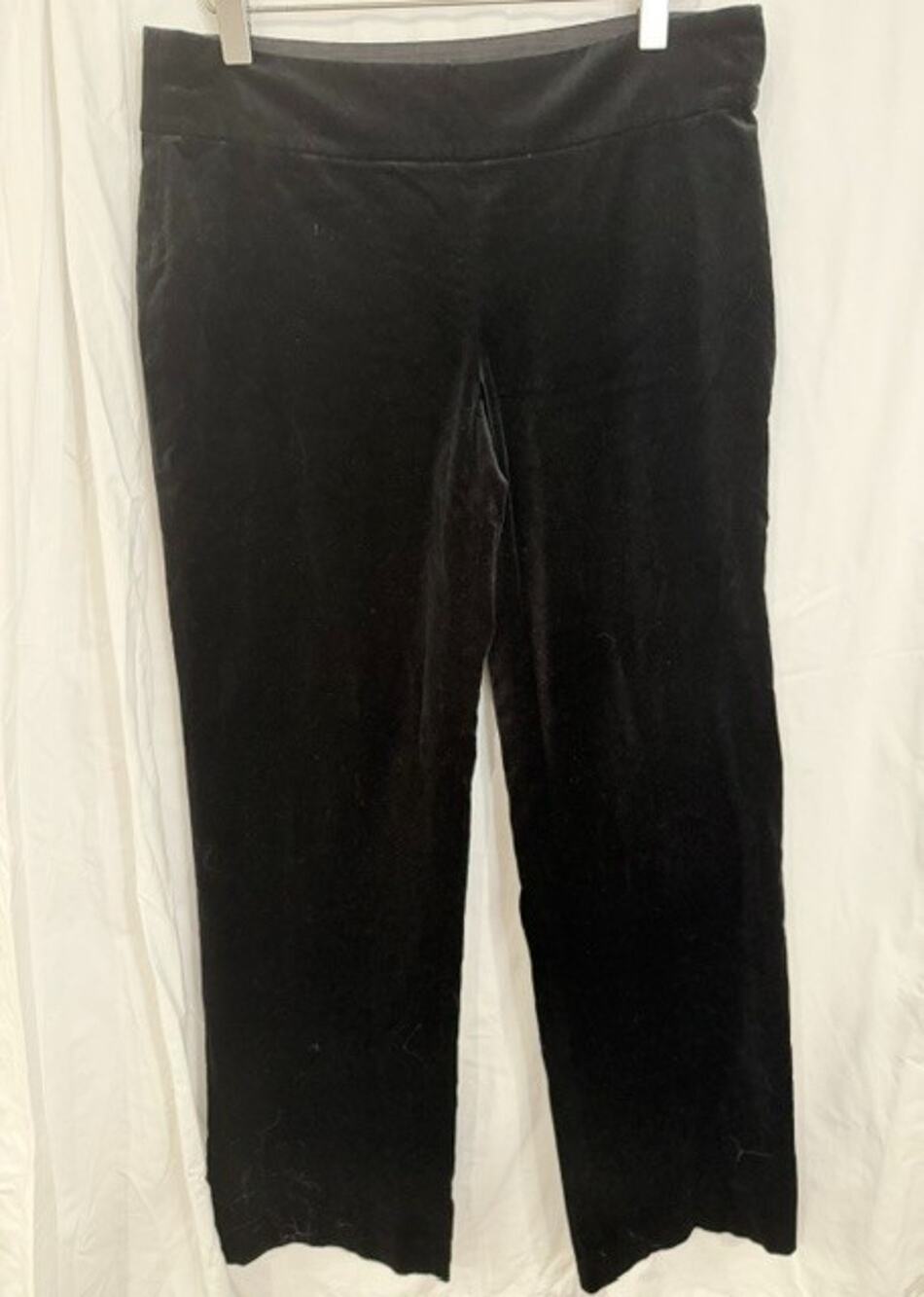 Ann Taylor Velvet Pants Size 2 Petite